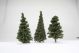 295-T3 15 SMALL PINE TREES