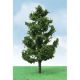 373-92217 SPRUCE TREES