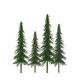 373-92028 SPRUCE TREES 6